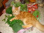     
: DSC04301.jpg
: 5
:	196.2 
ID:	4933465