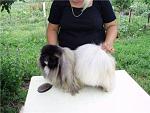     
: post-3145-1252013482.jpg
: 13
:	16.9 
ID:	4938231