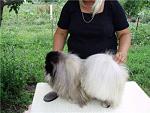     
: post-3145-1252013516.jpg
: 9
:	17.8 
ID:	4938233