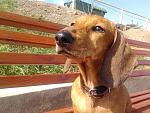     
: 2012-09-30 13.20.02.jpg
: 6
:	201.9 
ID:	4940035