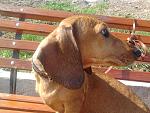     
: 2012-09-30 13.16.54.jpg
: 4
:	215.5 
ID:	4940036