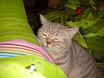     
: DSC01946.JPG
: 65
:	266.2 
ID:	494156