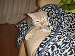     
: DSC01950.jpg
: 62
:	115.8 
ID:	494158