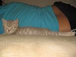     
: IMG_4359.jpg
: 100
:	248.7 
ID:	494160