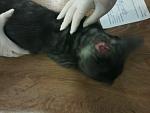     
: Photo0226.jpg
: 24
:	77.1 
ID:	4942497