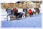     
: lapland_14.jpg
: 11
:	41.5 
ID:	4943429
