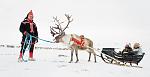     
: reindeer.jpg
: 16
:	57.1 
ID:	4943736