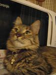     
: IMG_0428.jpg
: 29
:	92.6 
ID:	4944579