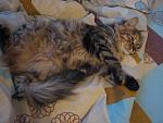    
: IMG_0442.jpg
: 31
:	144.5 
ID:	4944580