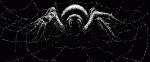     
: g41014.gif
: 11
:	40.3 
ID:	4948594