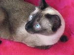     
: IMG_0742.jpg
: 33
:	166.9 
ID:	494975