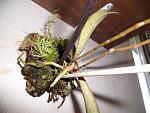     
: GEDC1766.jpg
: 18
:	145.6 
ID:	4951988