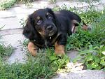     
: P1010369.jpg
: 10
:	183.4 
ID:	4953233