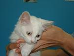     
: DSC07884.jpg
: 8
:	65.8 
ID:	4953939