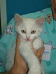     
: DSC07889.jpg
: 5
:	64.9 
ID:	4954315