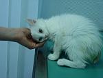     
: DSC07879.jpg
: 8
:	83.6 
ID:	4954317