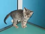     
: DSC07931.jpg
: 9
:	81.4 
ID:	4954393