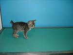     
: DSC07921.jpg
: 8
:	51.3 
ID:	4954394