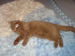     
: DSC00899.jpg
: 13
:	147.5 
ID:	4954423