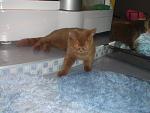     
: DSC00896.jpg
: 9
:	110.9 
ID:	4954433