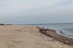     
: IMG_2045.jpg
: 12
:	107.6 
ID:	4954664