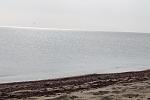     
: IMG_2044.jpg
: 19
:	127.4 
ID:	4954667