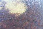     
: IMG_2055.jpg
: 20
:	98.2 
ID:	4954669