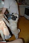     
: DSC_0120.jpg
: 10
:	64.4 
ID:	4956050