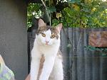     
: DSC07954.jpg
: 3
:	134.6 
ID:	4961392