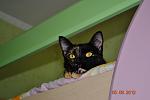     
: DSC_0051.jpg
: 2
:	58.7 
ID:	4964952