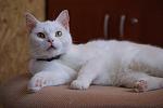     
: fdaeee31bec4.jpg
: 2
:	91.1 
ID:	4964963