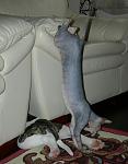     
: DSCN3822.JPG
: 10
:	78.1 
ID:	4965408