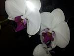     
: 20121005_001403.jpg
: 8
:	62.8 
ID:	4979288