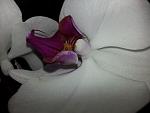     
: 20121005_001424.jpg
: 8
:	94.4 
ID:	4979296