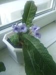     
: DSCF5142.jpg
: 29
:	112.4 
ID:	497956