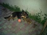     
: WNfNXWmFnAg.jpg
: 56
:	67.0 
ID:	4981552