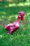     
: chicken_01.jpg
: 17
:	82.6 
ID:	4982619