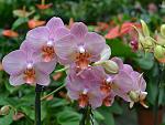     
: DSC_0156.JPG
: 18
:	181.1 
ID:	4989438