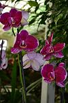     
: DSC_0167.JPG
: 18
:	157.8 
ID:	4989441