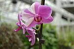     
: DSC_0189.JPG
: 20
:	156.7 
ID:	4989442