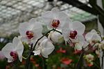     
: DSC_0152.JPG
: 17
:	163.2 
ID:	4989474