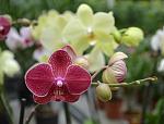     
: DSC_0151.JPG
: 18
:	180.8 
ID:	4989475