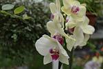     
: DSC_0150.JPG
: 16
:	163.3 
ID:	4989478