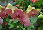     
: DSC_0157.JPG
: 17
:	166.9 
ID:	4989502