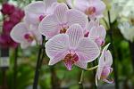     
: DSC_0148.JPG
: 15
:	175.0 
ID:	4989503