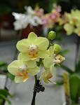     
: DSC_0160.JPG
: 16
:	167.8 
ID:	4989516