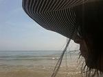     
: 34LW0y8H1BU.jpg
: 8
:	51.1 
ID:	4990856