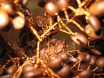     
: x_60b8dec7.jpg
: 18
:	52.2 
ID:	4996276