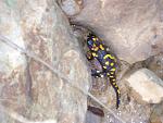     
: DSC02014.jpg
: 18
:	127.2 
ID:	499776