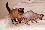     
: DSC09057.jpg
: 7
:	108.4 
ID:	5001873